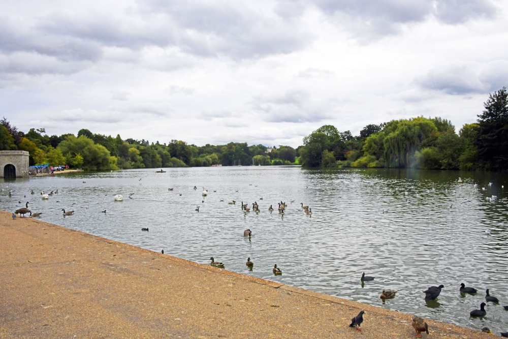 Mote Park, Maidstone