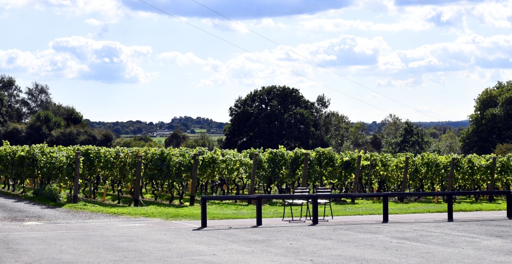 Chapel Down Winery