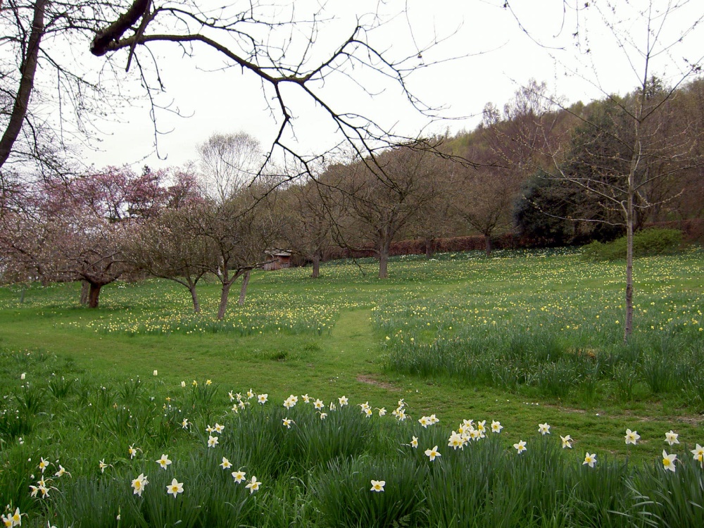 Photograph of Sleightholmedale Lodge Garden, Fadmoor, North Yorkshire
