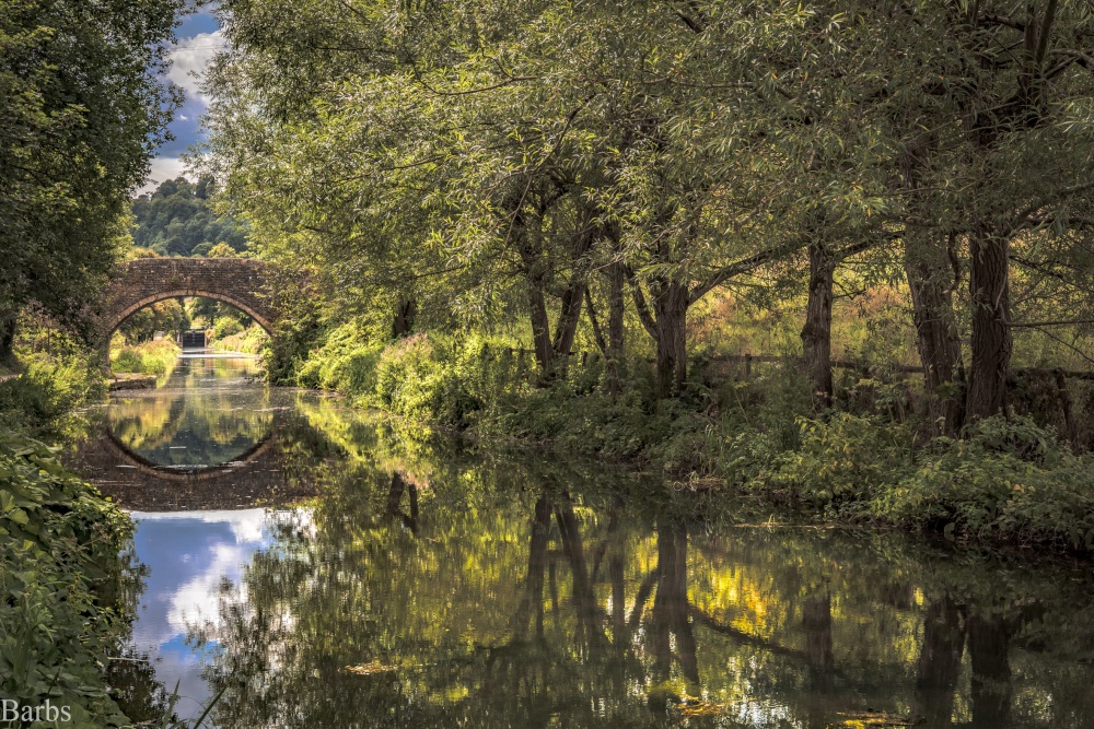 Canal at Bowbridge near Stroud
