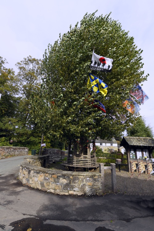 The Arbor Tree at Ashton-on-clun