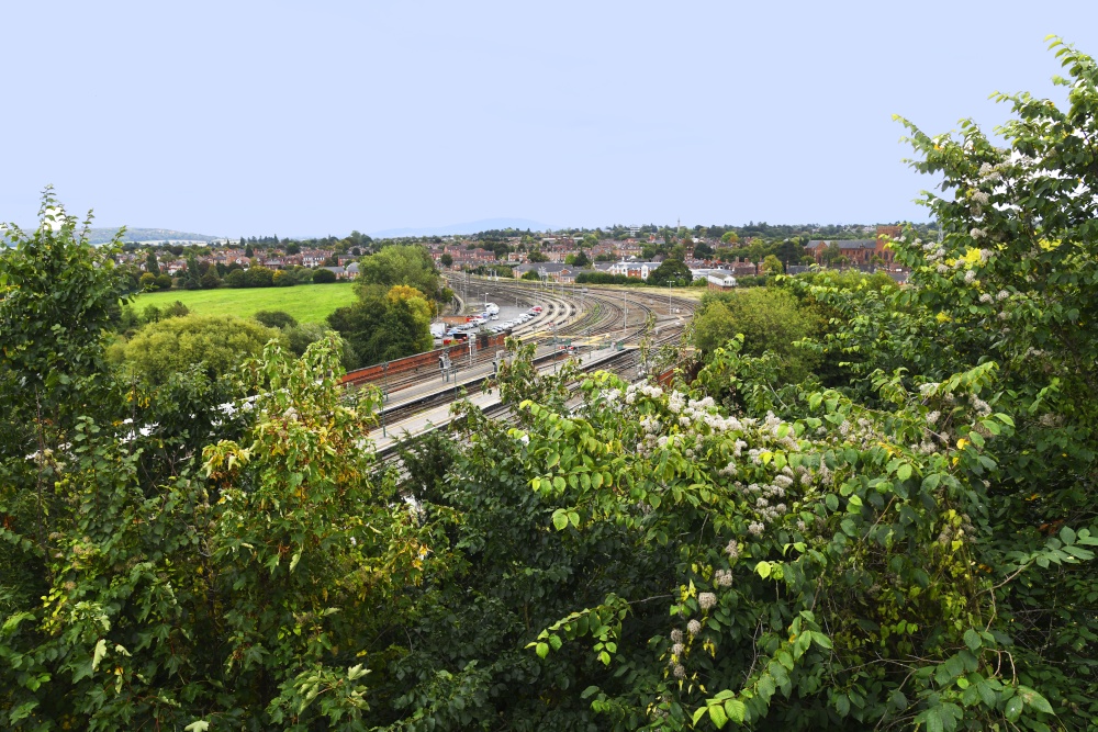 View from Shrewsbury Castle