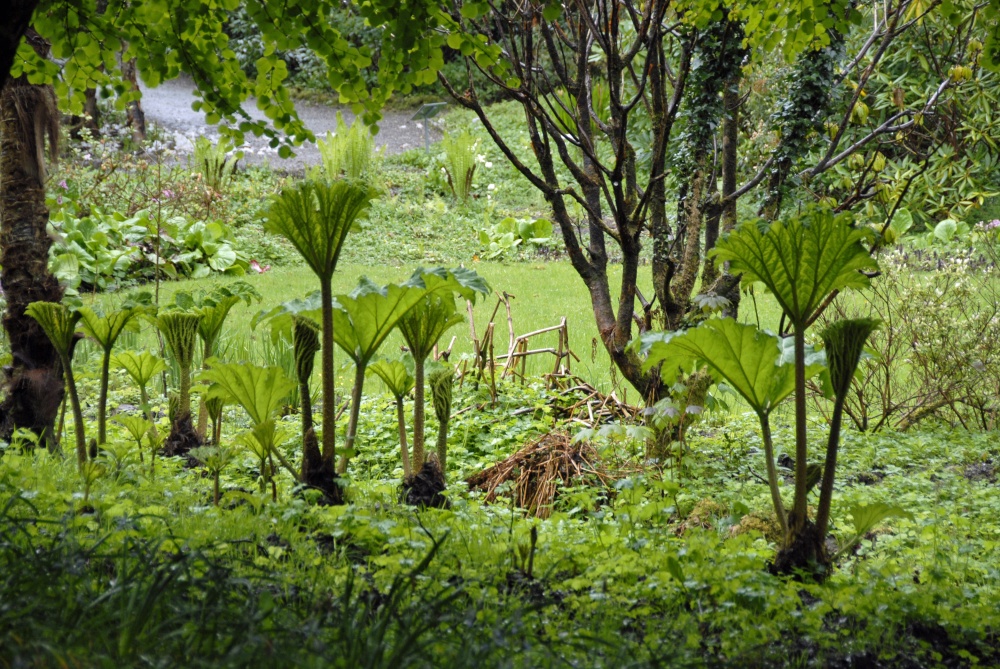 Glenveagh Castle Garden near Letterkenny