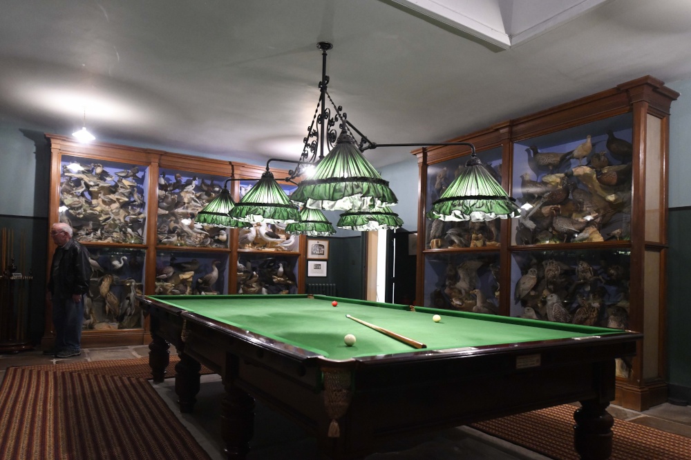 Powis Castle billiard room