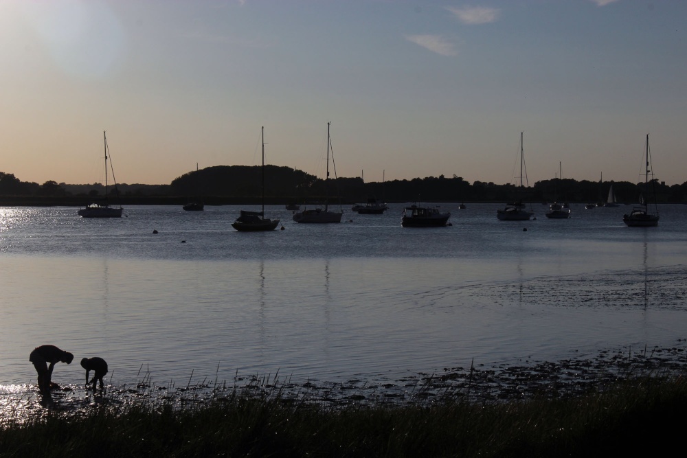 Mud Skippers, Ramsholt.