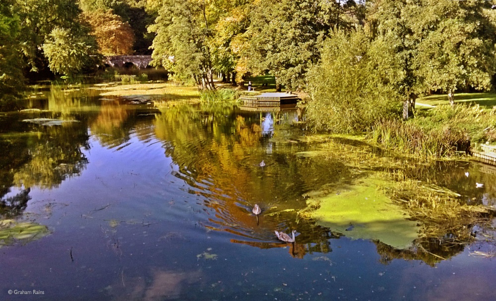 Blandford Forum Dorset
