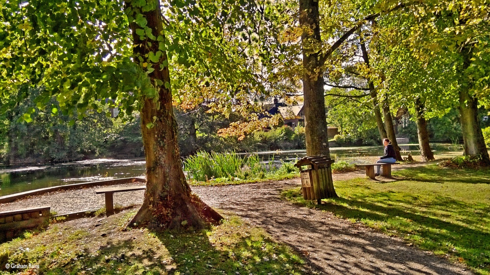 Blandford Forum Dorset