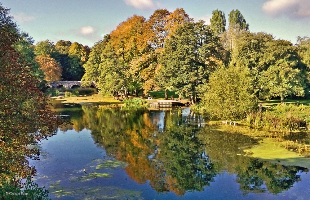 Blandford forum Dorset