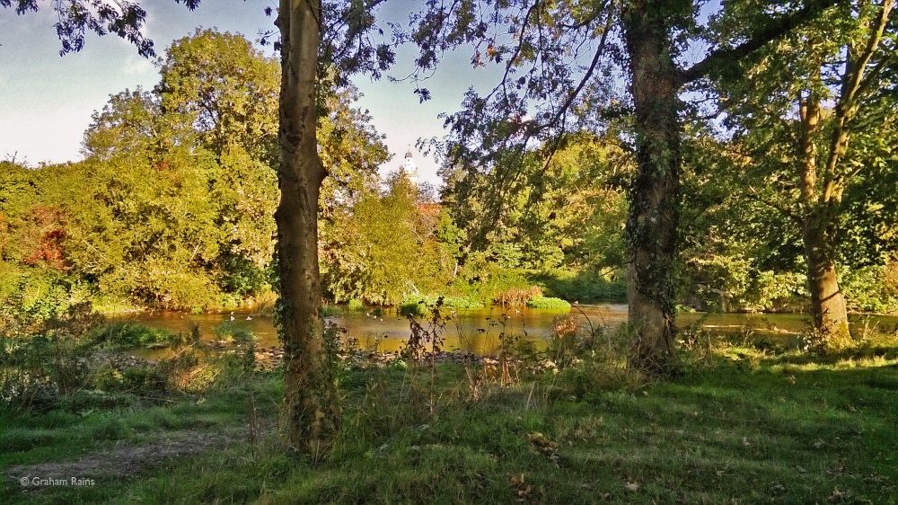Blandford forum Dorset