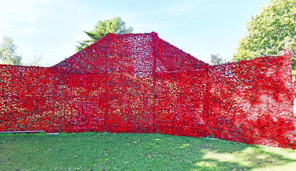 Poppies at St. Peter's Church, North Hayling