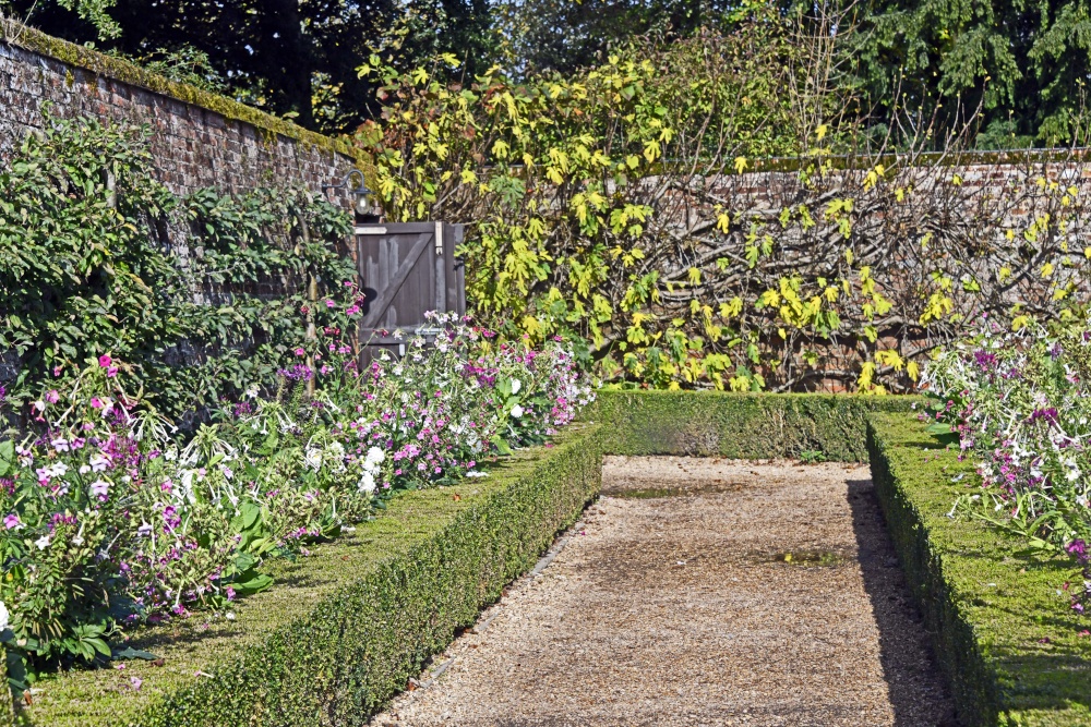 Hinton Ampner Garden photo by Paul V. A. Johnson