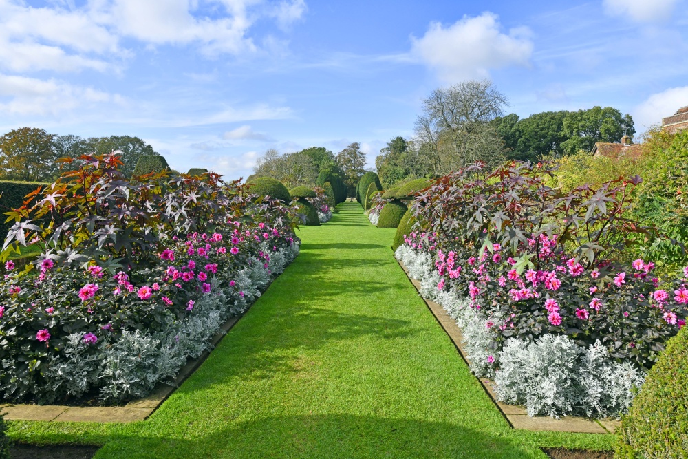 Hinton Ampner Garden
