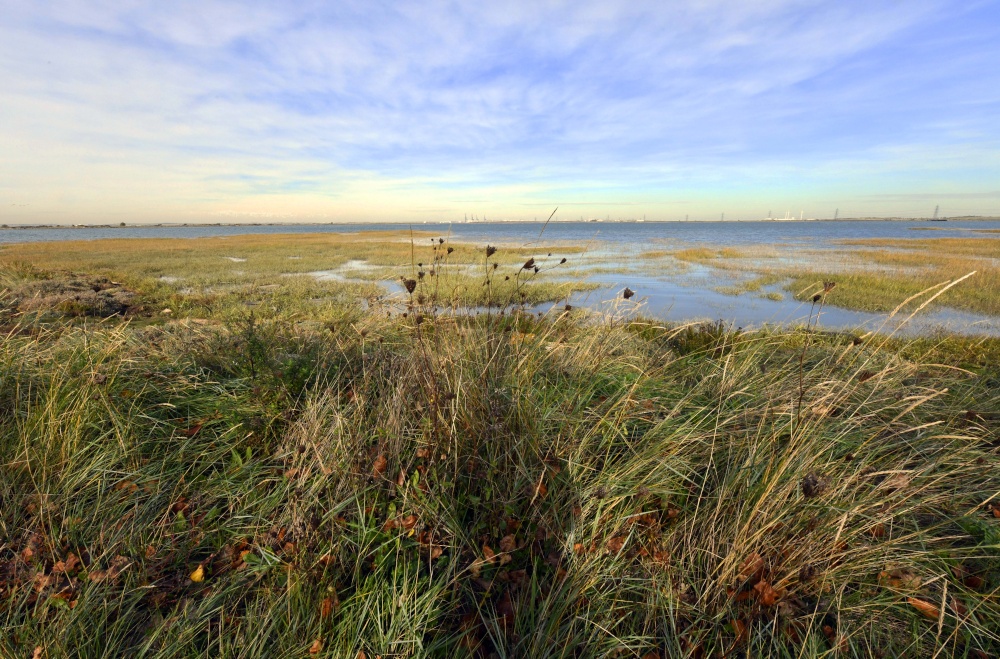 River Swale near Iwade