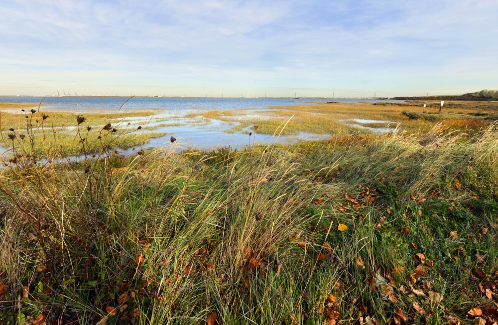 River Swale near Iwade