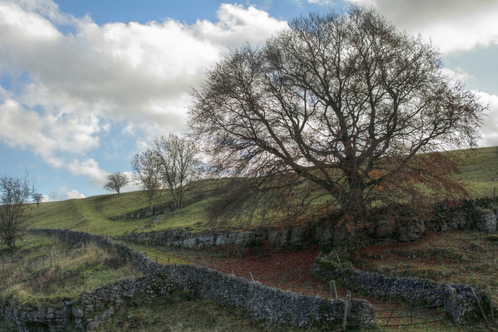 Upper Lathkill Dale near Monyash, Derbyshire photo by AJTooth