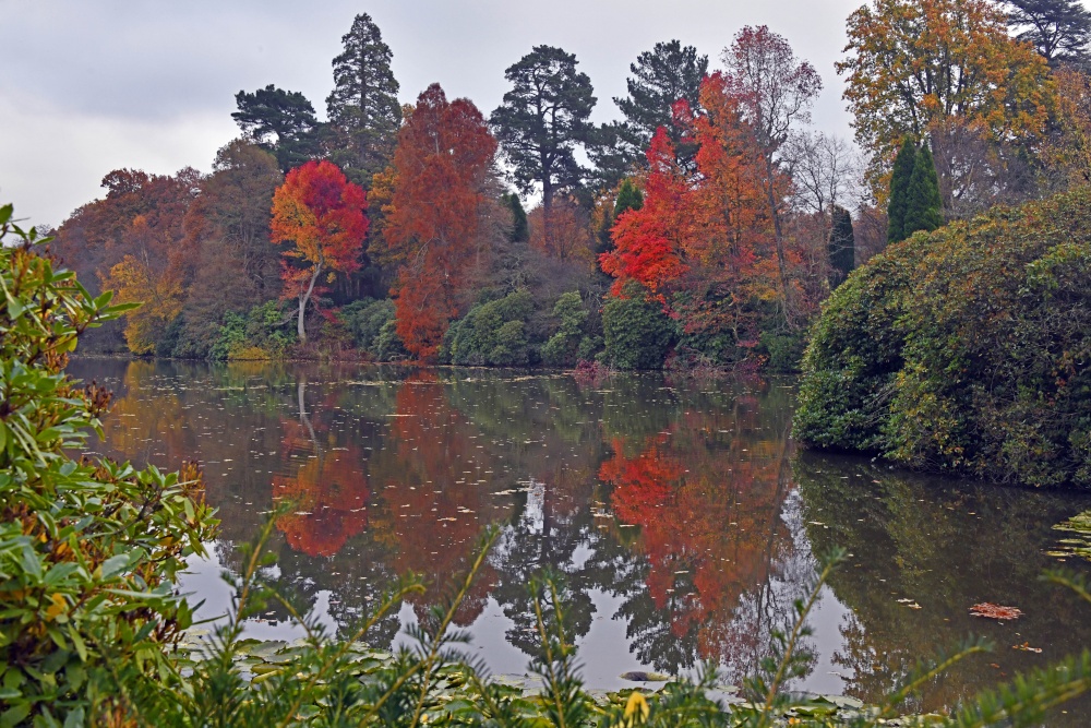 Sheffield Park Garden