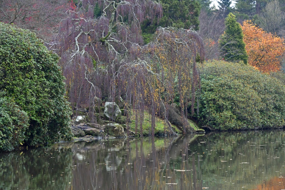 Sheffield Park Garden