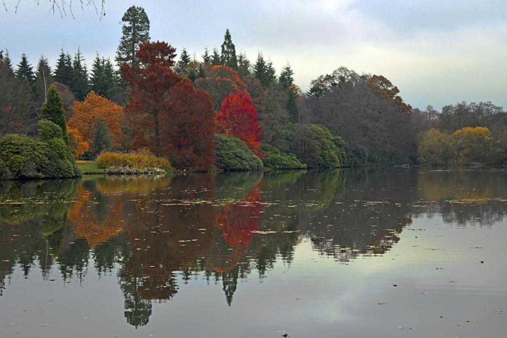 Sheffield Park Garden