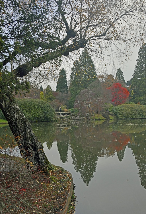 Sheffield Park Garden