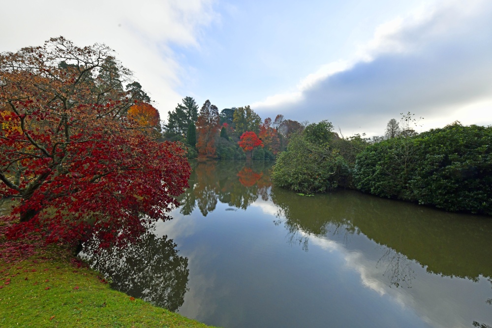 Sheffield Park Garden, Uckfield