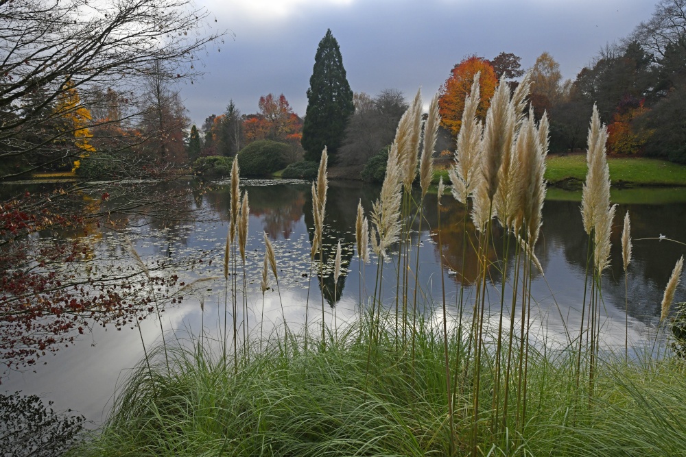 Sheffield Park Garden