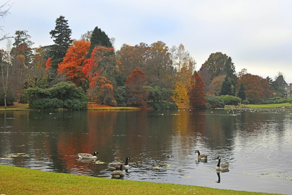 Sheffield Park Garden