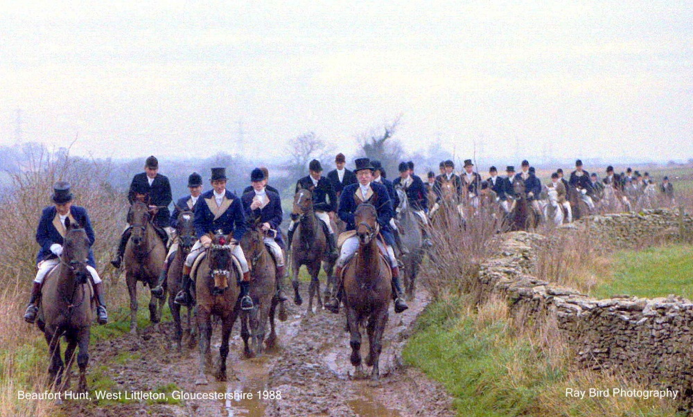 Beaufort Hunt, West Littleton, Gloucestershire 1988