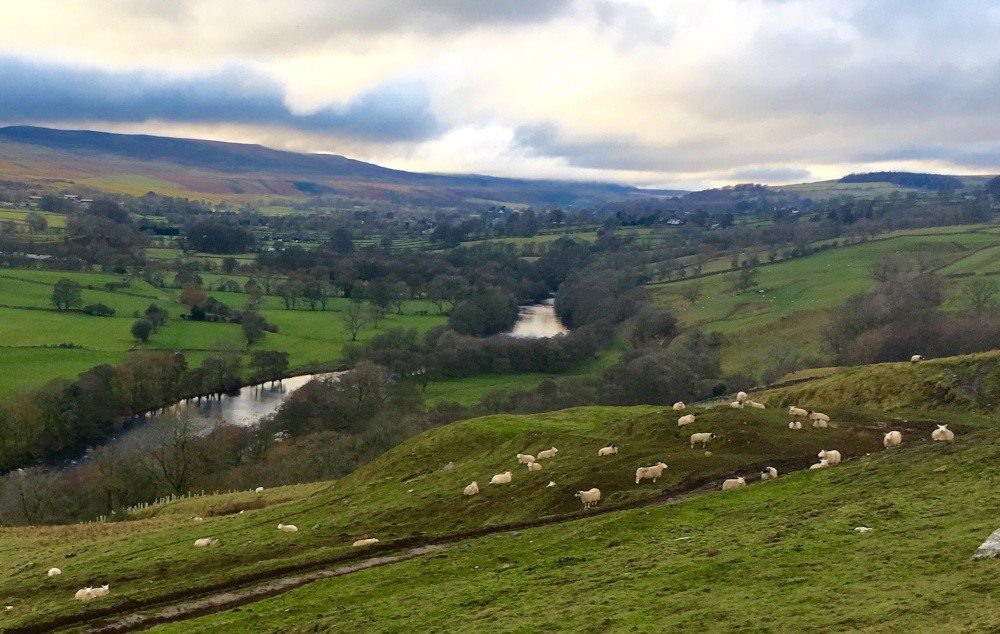 Photograph of Christmas inTeesdale
