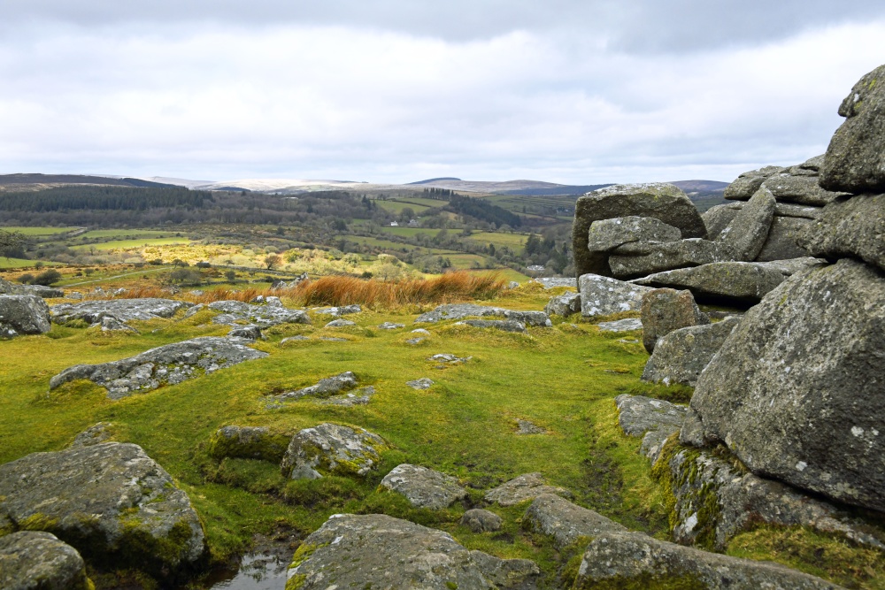 DartmoorNational Park