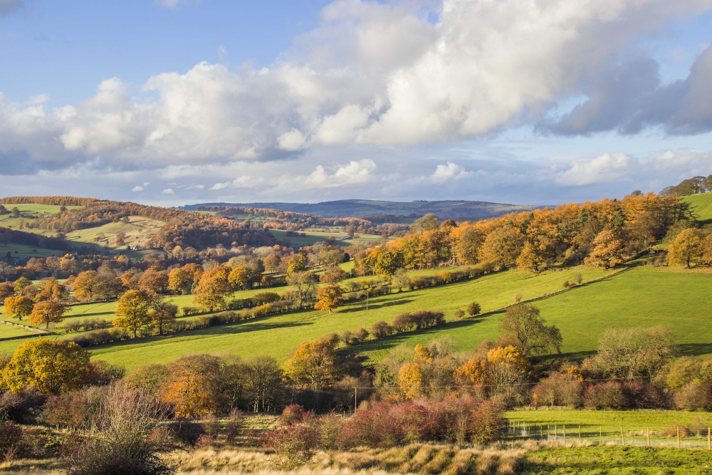 Photograph of Road to Beeley