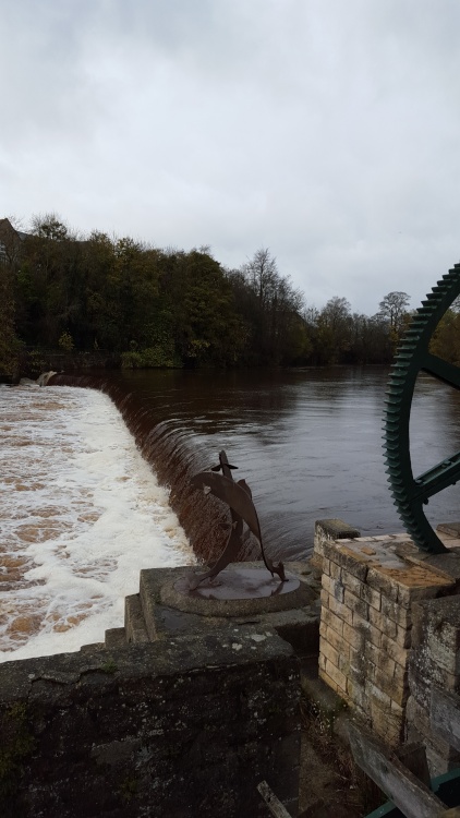 Weir at Wetherby river Wharfe