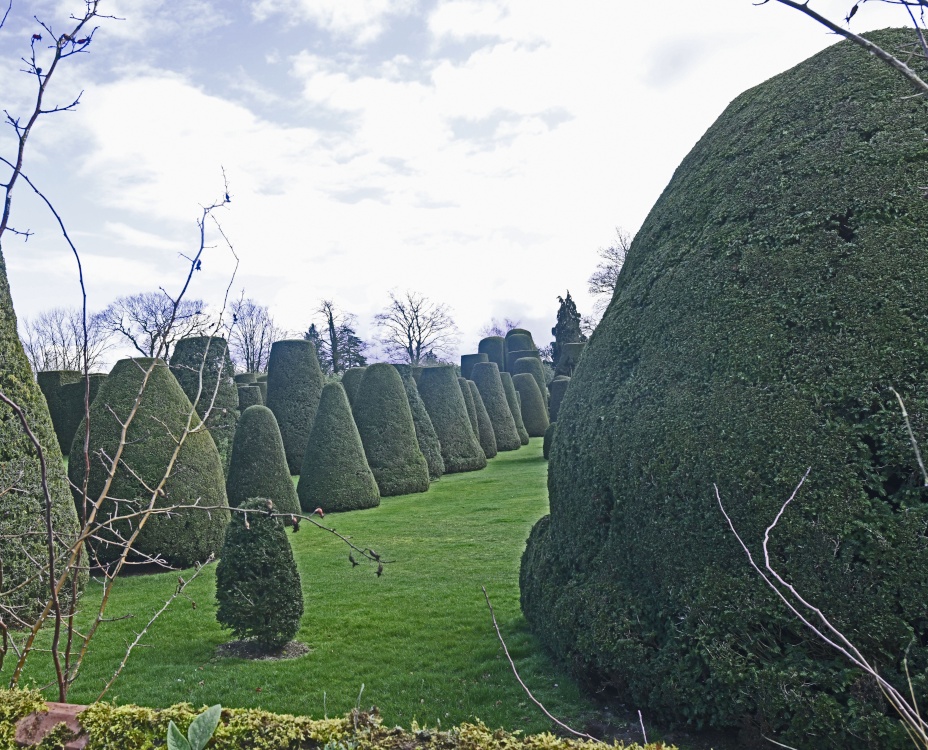 Packwood House Garden, topiary