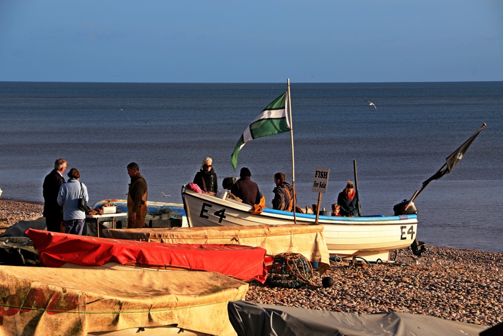 Budleigh Salterton Fish sellers