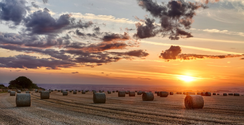High Hunsley after the harvest.