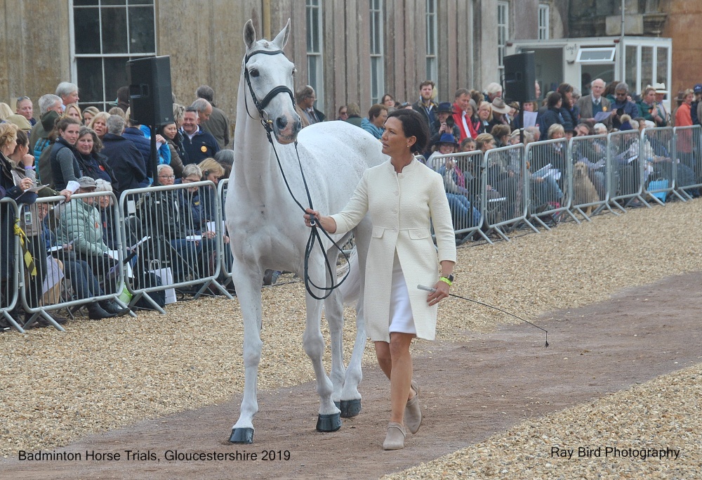 Badminton Horse Trials, Gloucestershire 2019