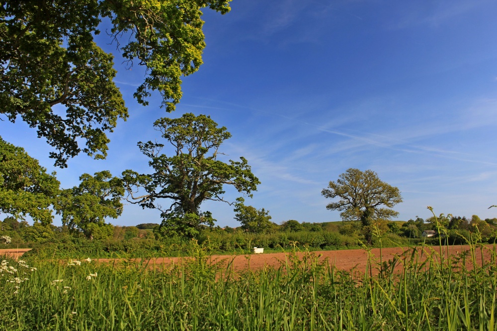 View from Frogmore Road