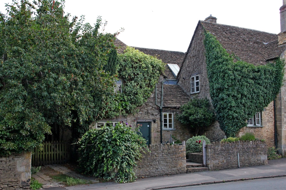 Ivy clad Lacock house