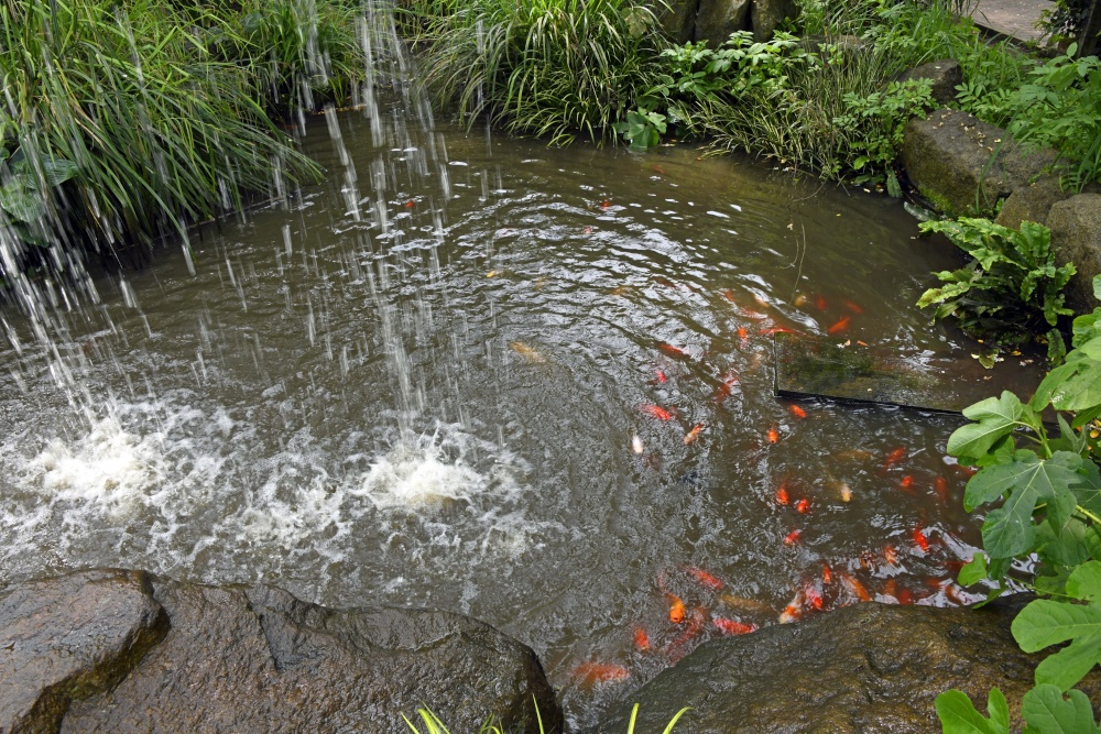 Wingham Wildlife Park
