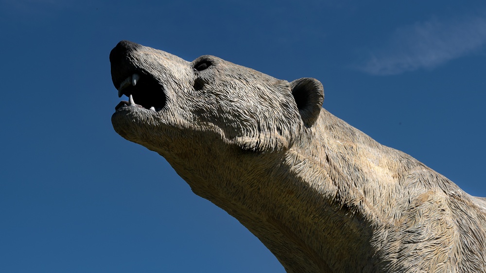 A Fine Tribute (Alrewas)