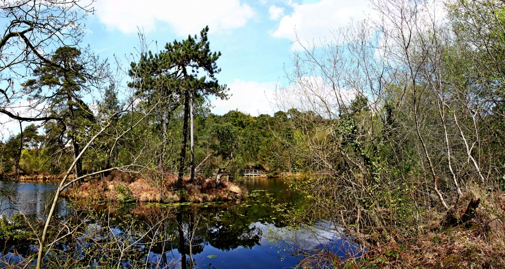 Squabmoor pond