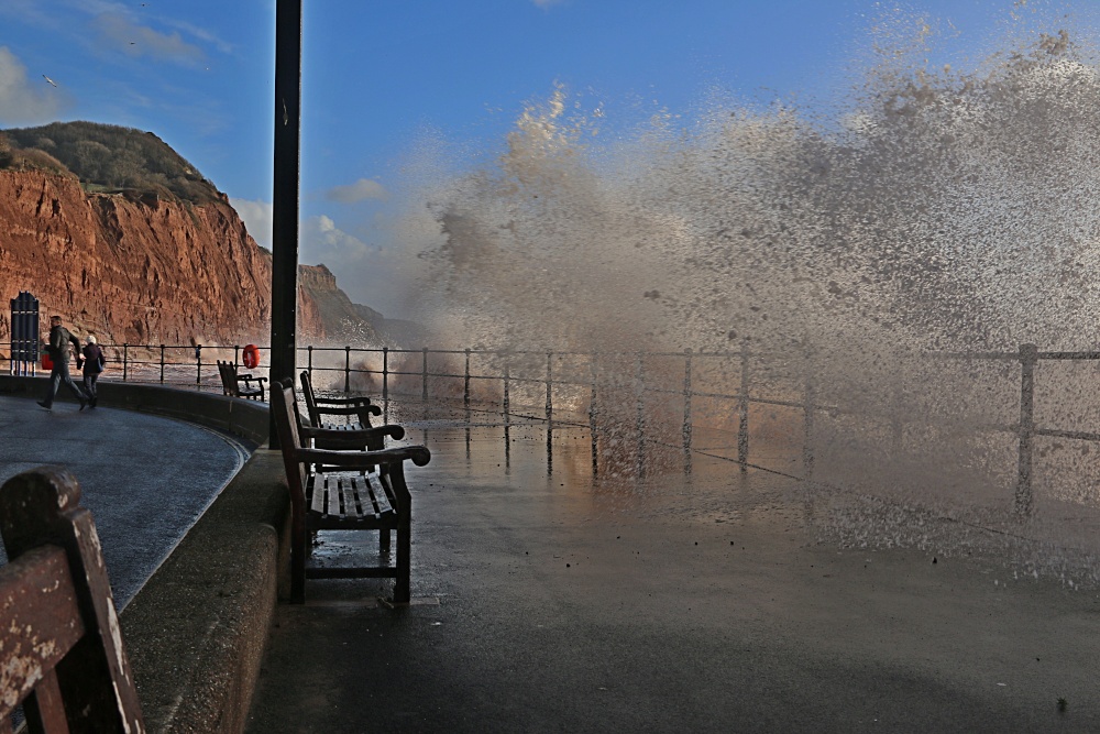 Sidmouth waves