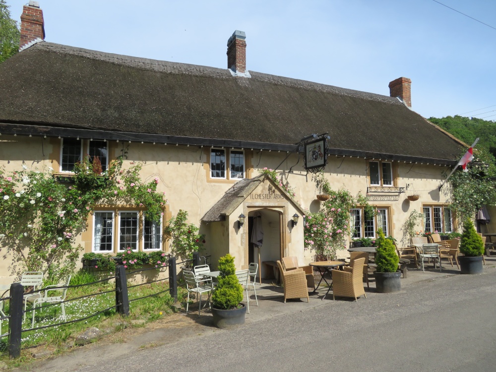 Photograph of The Ilchester Arms pub in Symondsbury, Dorset