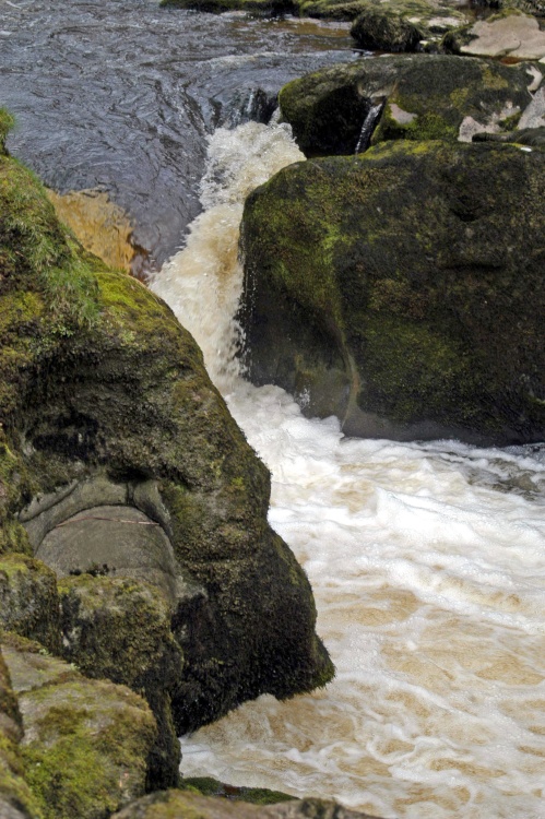 The Strid, Bolton Priory