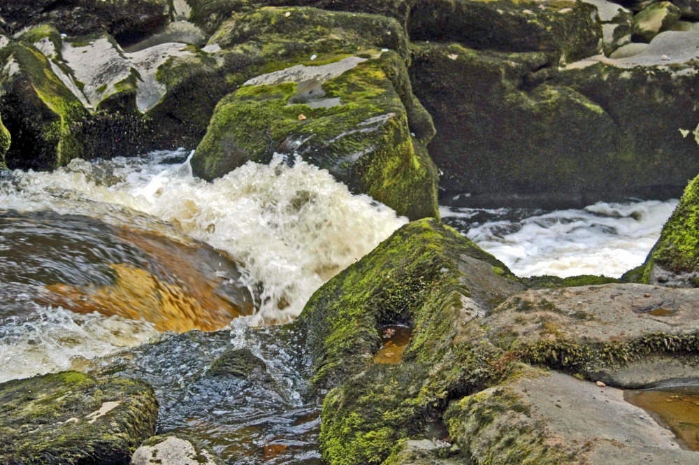The Strid, Bolton Priory