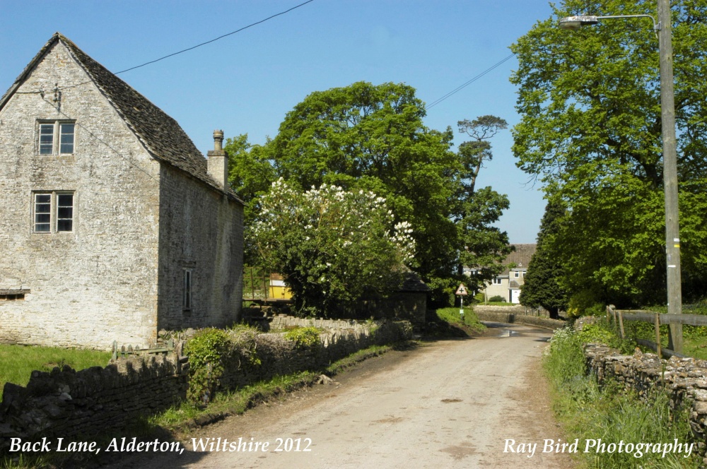 Back Lane, Alderton, Wiltshire 2012