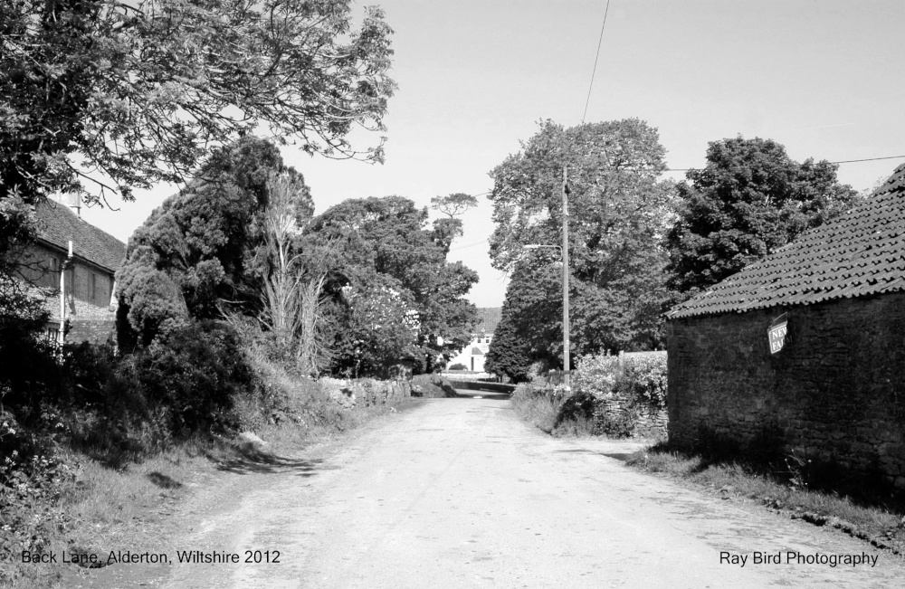 Back Lane, Alderton, Wiltshire 2012