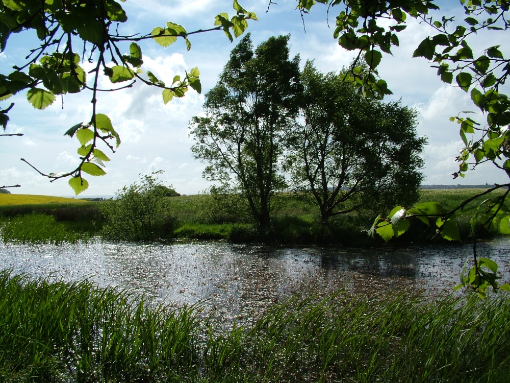 Tanfield's pond