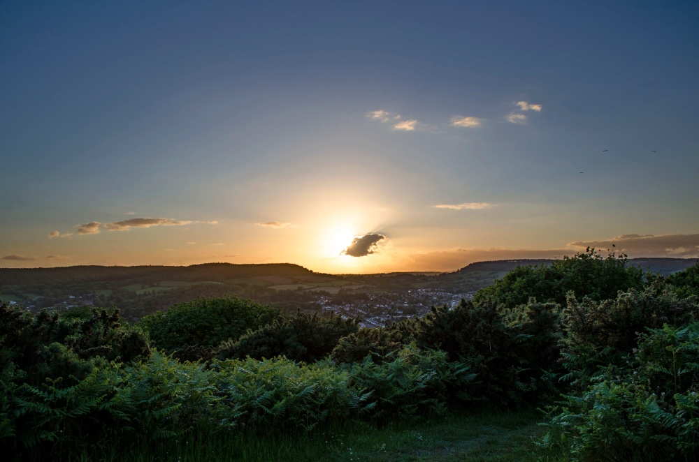 Salcombe Hill wide view