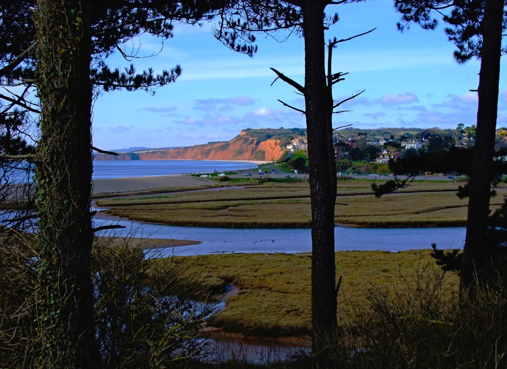 Budleigh Pines