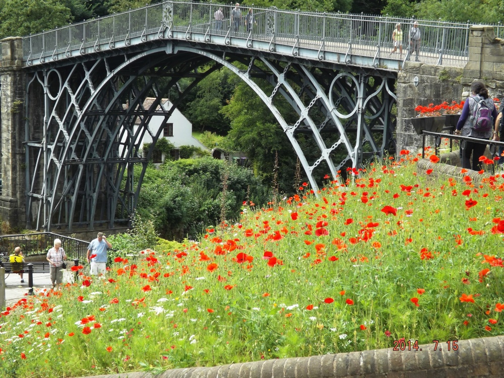 Photograph of Iron Bridge with poppies
